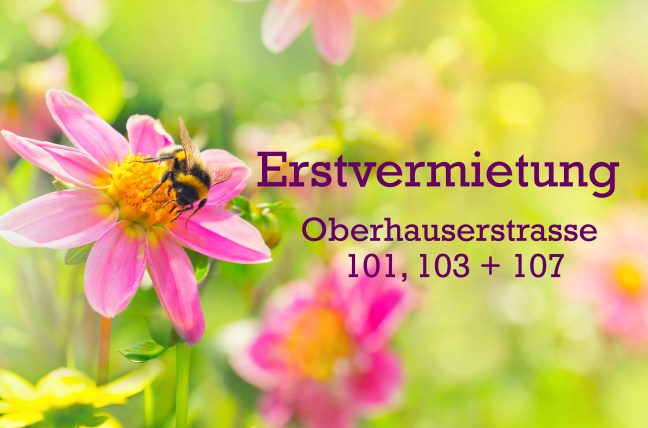 blume_biene__erstvermietung_bearbeitet-1